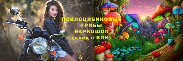гидра Балабаново