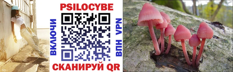 Галлюциногенные грибы Psilocybine cubensis сколько стоит Макарьев